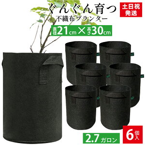 y30%OFF&P2{}\z sDzv^[ c 2.7K Aؔ 7 O sDz|bg tFgv^[ y y ƒ؉ x_؉ K[fjO z 21x30 Leaf88