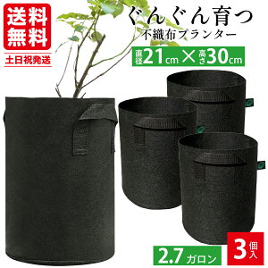 sDzv^[ c 2.7K Aؔ 7 O sDz|bg tFgv^[ y y ƒ؉ x_؉ K[fjO z 21x30 Leaf88