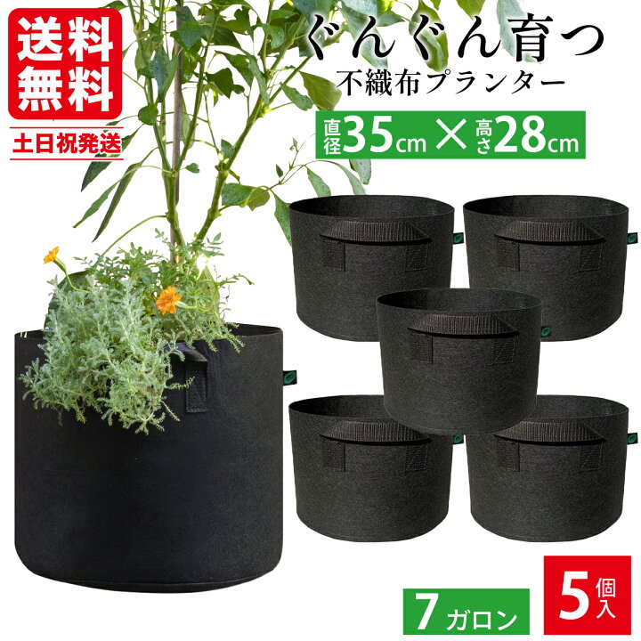 楽天市場】【P2倍&5%割引クーポン対象☆お買い物マラソン】 【380円/個  