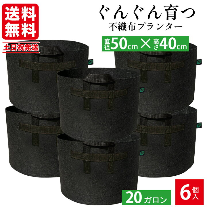 楽天市場】【20%OFF対象&P2倍☆スーパーセール限定クーポンで】 【6個  