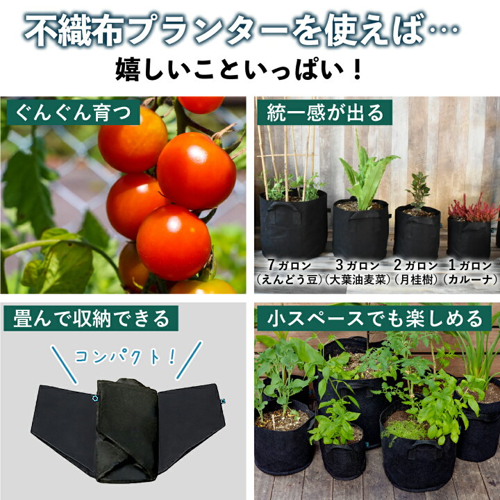プランター 不織布 5 7 10ガロン フェルト 植物栽培バッグポット おしゃれ 植木鉢 植え袋 多穴デザイン 簡単に観察 通気性 大容量 多機能 布鉢 植物育成 野菜栽培 トマト栽培バッグ いちご 栽培バッグ 持ち手付き Diy園芸 ガーデニング 庭 屋外 室内栽培用 新居祝い