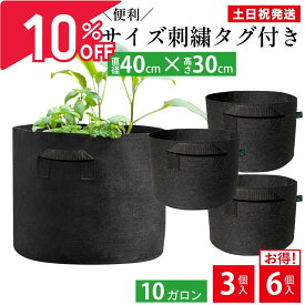 【枚数限定20%OFFクーポン&P2倍★スーパーSALE】 不織布プランター 10ガロン 不織布ポット 40x30 13号 不織布 プランター 植木鉢 フェルトプランター 軽い 軽量 家庭菜園 ベランダ菜園 野菜 花 ガーデニング 大型 黒 布鉢 Leaf88