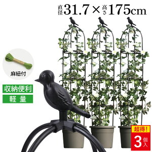 y]!!zIxXN K[fjOx yʎx a31.7x175cm ox |x K[fIxXN gX Leaf88