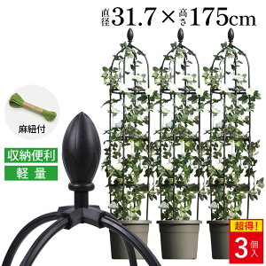 y]!!zIxXN K[fjOx yʎx a31.7x175cm ox |x K[fIxXN gX Leaf88