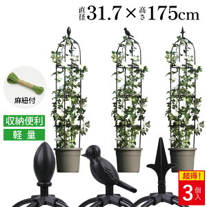 y]!!zIxXN K[fjOx yʎx a31.7x175cm ox |x K[fIxXN gX Leaf88