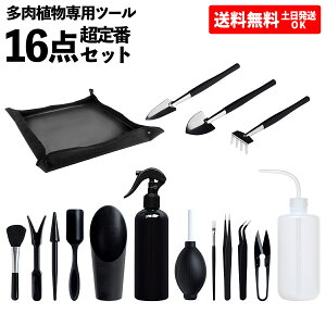 スコップ シャベル 多肉植物の人気商品 通販 価格比較 価格 Com スコップ シャベル 多肉植物の人気商品 通販 価格比較 価格 Com