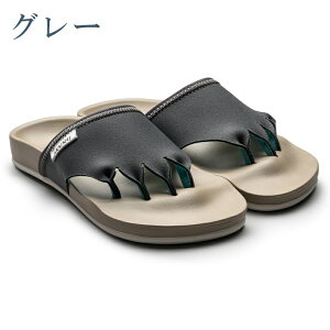 yAKAISHIK̔XzAJCV AKAISHI 5{w GNT[T_ Y fB[X T_ [V[Y g[jO GNTTCY JWA T_ V[Y  Nێ 