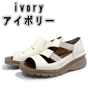 SPORTSNINE AirSenseWalk {v { RtH[gT_ fB[X T_ y L 4E I[vgD 3{oh Xb| TbƗ JWA lR[f  h b O