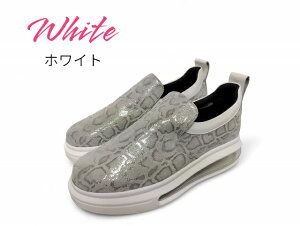 y{E{vzSPORTSNINE JWAXb| VRv GA[\[ Xb| fB[X L3E Xl[N 3.5cm E񂽂 ᔽ _炩 NbV C Ռz 