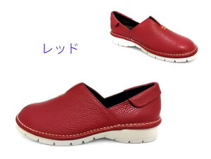 { SPORTSNINE X|[ciC 3013 fB[X EH[LO JWA RtH[gV[Y RtH[g Xj[J[ 4E L {v y TbƗ Ȃ NbV ᔽ Ȃ