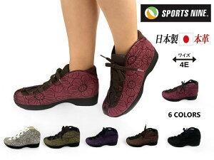 SPORTS NINE X|[ciC 550 y fB[X RtH[g [XAbvV[Y u[eB[ EH[LOJWA { VRv 3E Ȃ\tgȗSn s sy RtH[gV