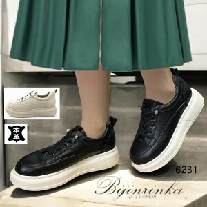 Xj[J[ V[Y {v C 6231 U[ RtH[g CXg[ JWA VRv fB[XV[Y RtH[g tBbg NbV y ɂ a@lC@