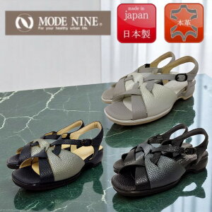 MODENINE [hiC 0373 JWAT_ { VRv 4E L q[4cm C\[ ӂӂ O fB[X T_  ɂ @V@ʌ@