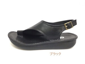 { CRWF T_ INCHOLJE 8861 gDO obNXgbvT_ XIWil[SPORTSNINE {v ICVbsO Mtg gOT_ wt obNoh  