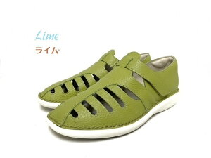 { SPORTSNINE 22360 fB[X EH[LO JWA RtH[g Xb| OJ OJV[Y4E {v }WbNxg v[g Mtg Ȑ TbƗ VJbg fC[ 