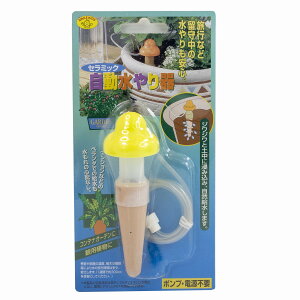 Z~bN  CG[ |vEdsv SMILE KIDS ASK-100YR