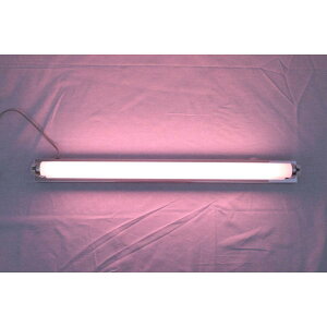 �g���X�^�[ �J���[�����v�Z�b�g �s���N PINK 50Hz 50�w���c �����{��p