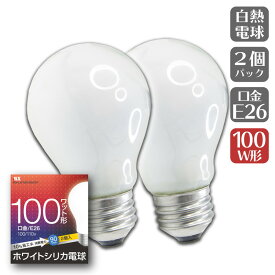 ホワイトシリカ電球 白熱電球 はだか電球 目に優しい自然な光 2個入×1パック 倉庫 施設 工場 お祭り など