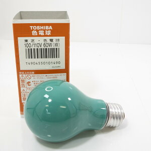 Fd IRO100/110V60WEG [O[]