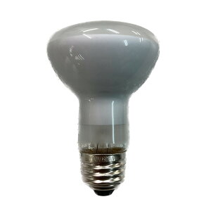 ���t�����v �����p R80 E26 100V 60W RF60-100V60W-E26