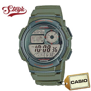CASIO JVI rv `[vJVI fW^ AE-1000W-3A Y