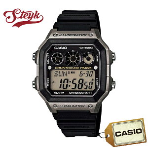 CASIO JVI rv `[vJVI fW^ AE-1300WH-8A Y