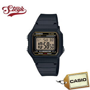 CASIO JVI rv CASIO STANDARD JVI X^_[h `[vJVI `vJV fW^ W-217H-9A Y