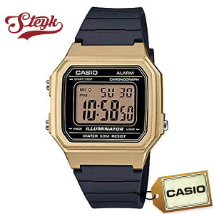 CASIO W-217HM-9A JVI rv fW^ STANDARD@X^_[h fB[X ubN@S[h JWA