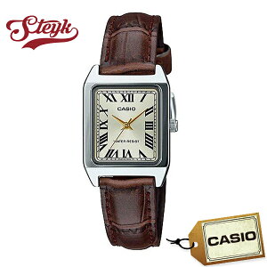 CASIO LTP-V007L-9B JVI rv AiO X^_[h fB[X zCg uE Vo[ JWA rWlX