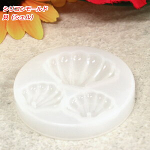 VRVR[h VF L^ 1 UVWNtg WNtgɍœK VR