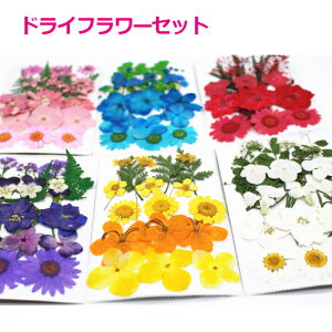 hCt[Zbg  fRp[c n[oE UVW Zbg UVWNtg lCp fRf