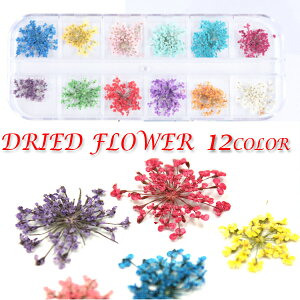  W hCt[ hCt[Zbg UVWNtg lCpɍœK P[Xt [֔z