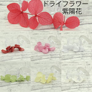 hCt[ z  UVWp 3 UVWNtg lCp fRf