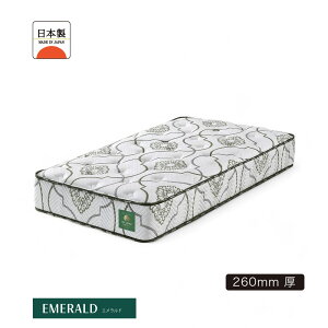 |PbgRC}bgX 6TCY VO Z~_u _u Ch_u NC[ Z~VO xbh}bgX Y { 26cm h_j R hL ~zc jbgn Oc 