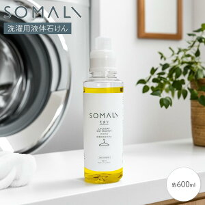 ؑΌ SOMALI  600ml pt̐΂ \} p t̐? q   VRf {  {g Mtg r  VRR ێ 