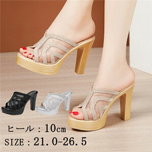 T_  `L[q[ T_ fB[X Ƃ q[T_ ANXgbv q[10cm 傫TCY  r C V[Y TCY 21.0 C  l 