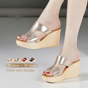 yr[T 20OFFzEFbW\[ T_  EGbW\[ T_ fB[X q[T_ ~[ 傫TCY q[8 Xg[ TCY C  l 