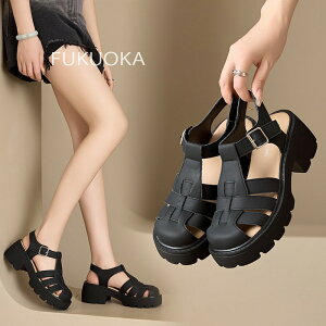 T_ C V[Y r[`T_ r ~ Vv fB[X ₷  킢 wl fB[X  Ȃ ɂȂ 傫TCY TCY y y