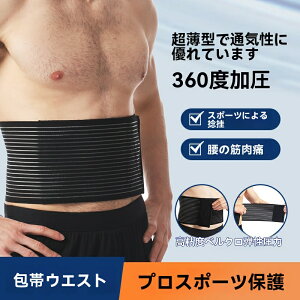 ySLkE^zėp 17cm T|[^[E jp ʋCQ ŉK _XEX|[cEtBbglXp Œxg