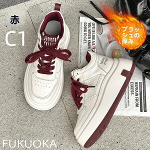 y 20OFFz u2025H~VbrhI{vnCJbgXj[J[b×Nтŏ灕rvXj[J[ fB[X H~q X^CAbv V[YN 