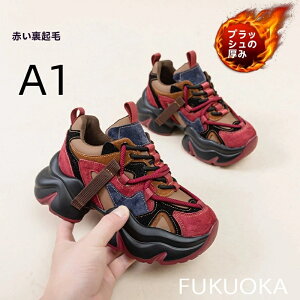 y 20OFFz u2025H~Vb{v××NсI[bp_bhXj[J[bqɂ߁v{v _bhXj[J[ N Xj[J[ hq r X^C