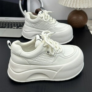 y 20OFFzu2025tHVI7cmŔr锒Xj[J[bv؍×JWAʕVGbǧXj[J[ Xj[J[ fB[XXj[J[ 7cmq[ 