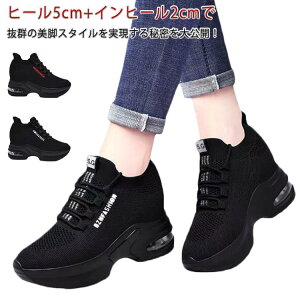 y 20OFFzCq[ fB[XXj[J[  V[Y 傫TCY i[XV[Y sneakers r q[Abv ɂ q[5cm+Cq[2cmŐgAbv!Cq[