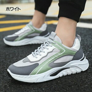 yr[T 20OFFzjOV[Y Xj[J[ Y EH[LOV[Y ^C jO V[Y Ȃ y ʊw ʋ  