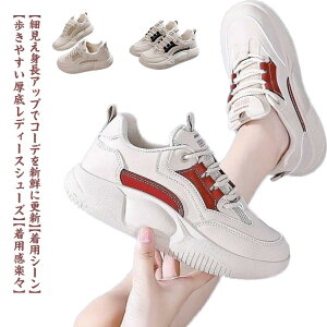 yr[T 20OFFzXb| fB[X Xj[J[  D^ RtH[gV[Y JWA ₷ C ₷ t H ~ L y ʋC K ~ lԍHw 