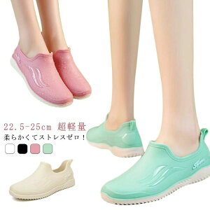 yr[T 20OFFzfB[X CV[Y ϖ h Xb| ~ ϋv ~[V[Y CV[Y Xg Xb| y y HiH  ~[ C RbNV