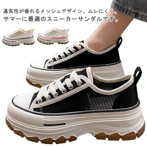 yr[T 20OFFz Xj[J[ fB[X bV V[Y  킢 Ȃ C  Xj[J[ r gAbv  r _bhV[Y _bhXj[J[ 22.5cm-2