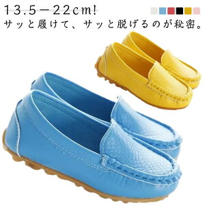 yr[T 20OFFzXb| Xb|V[Y l JWAV[Y Xj[J[ q   fB[X WjA [Jbg ؂ ɂȂ RȂ t tbg