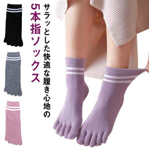 yr[T 20OFFzfB[X ܖ{wC 5{wC ܖ{w\bNX 5oZbg  5{w\bNX Rbg X|[c ̓ t H~ 킢 ₦ S5F