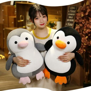 yr[T 20OFFzʂ yM 킢  YQ CeA G肢 ӂӂ G av[g 50cm